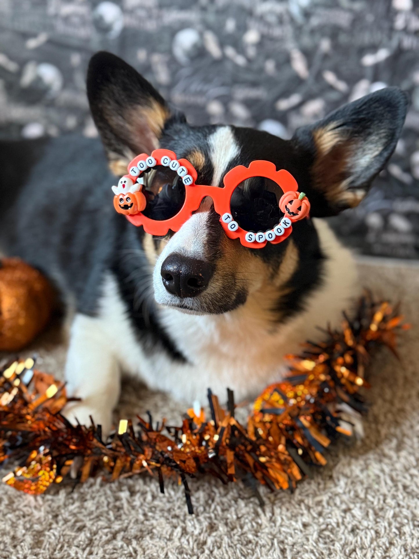 Too Cute To Spook Sunglasses