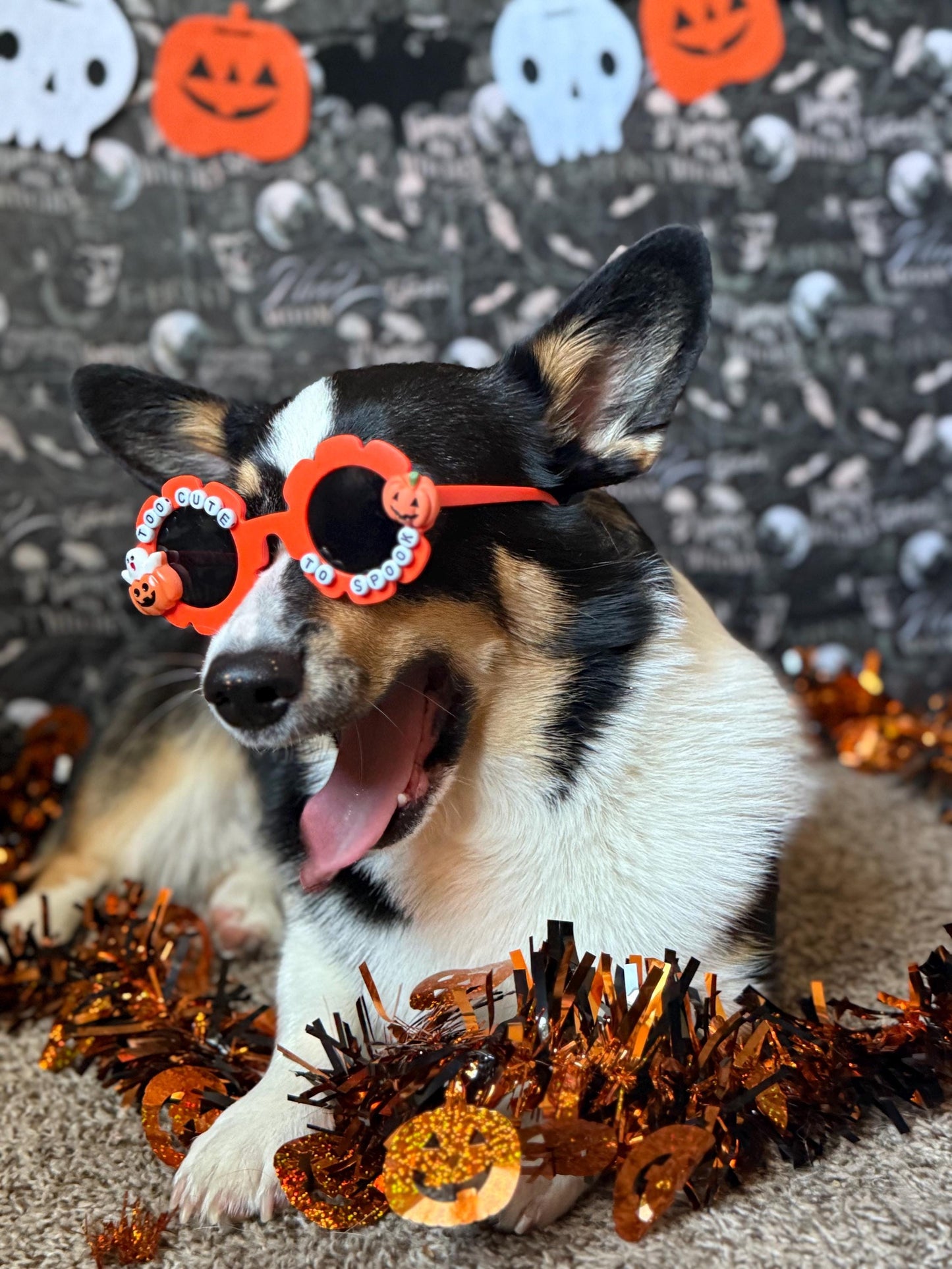 Too Cute To Spook Sunglasses