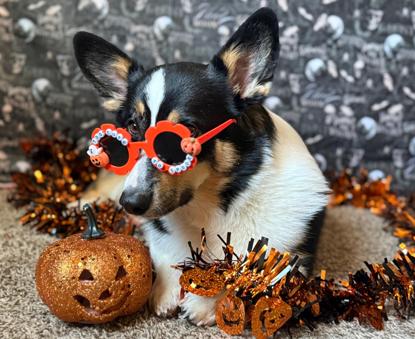 Too Cute To Spook Sunglasses