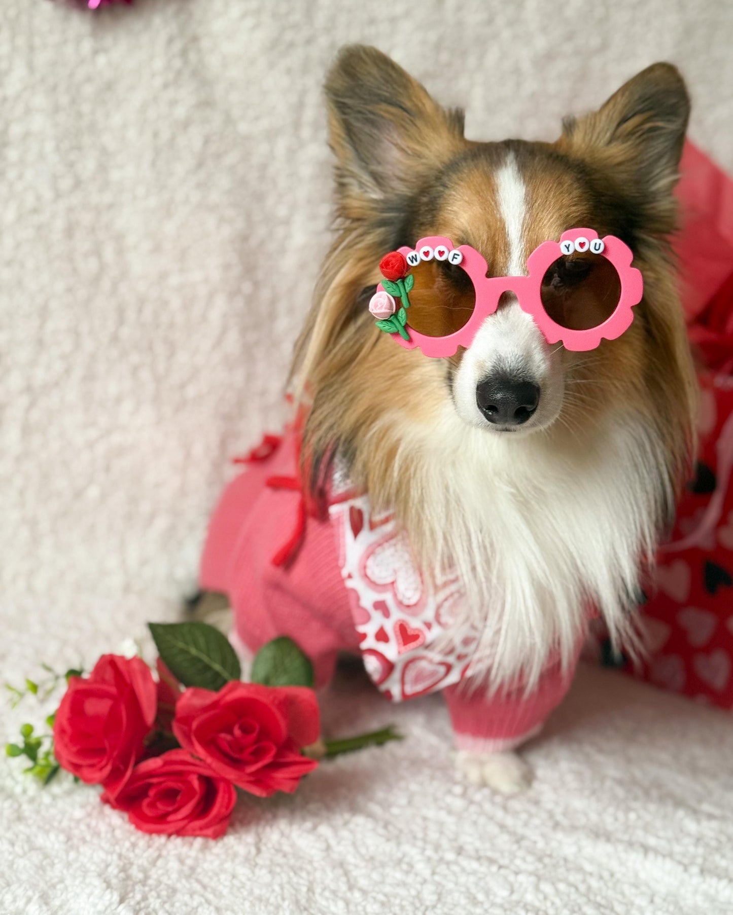 Woof You Valentine’s Day Pet Sunglasses