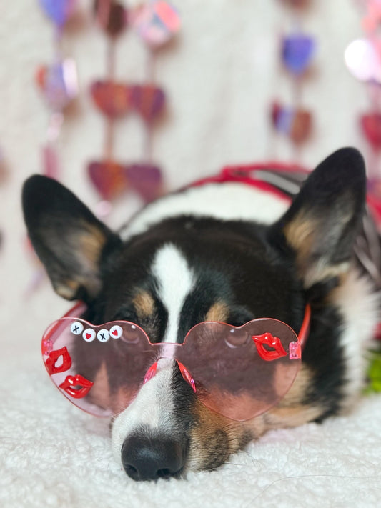 XOXO KISS Pet Sunglasses
