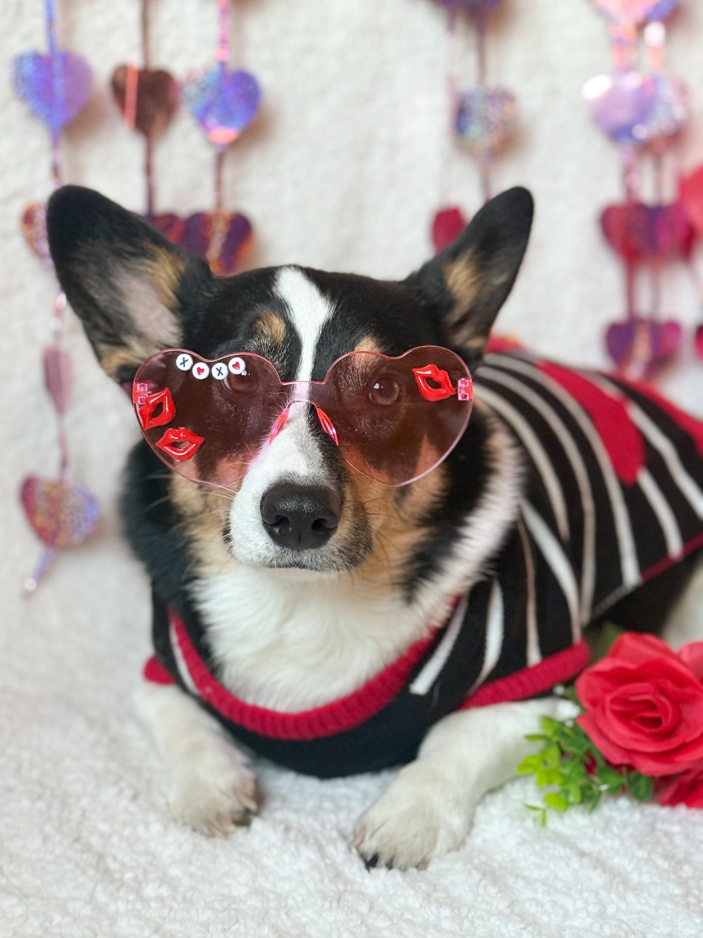 XOXO KISS Pet Sunglasses