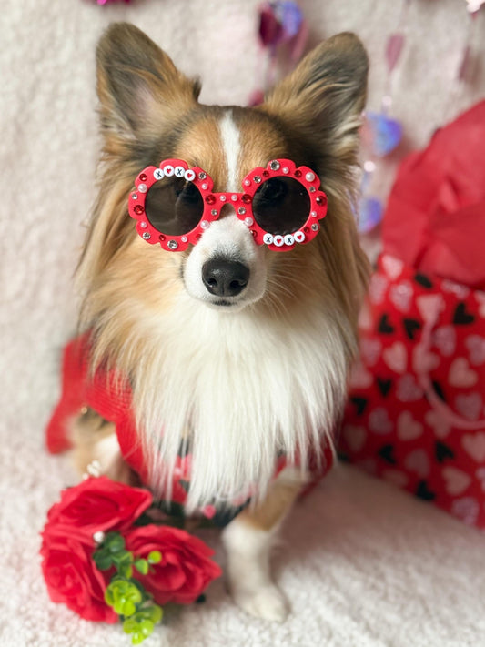 XOXO Valentine’s Day Pet Sunglasses