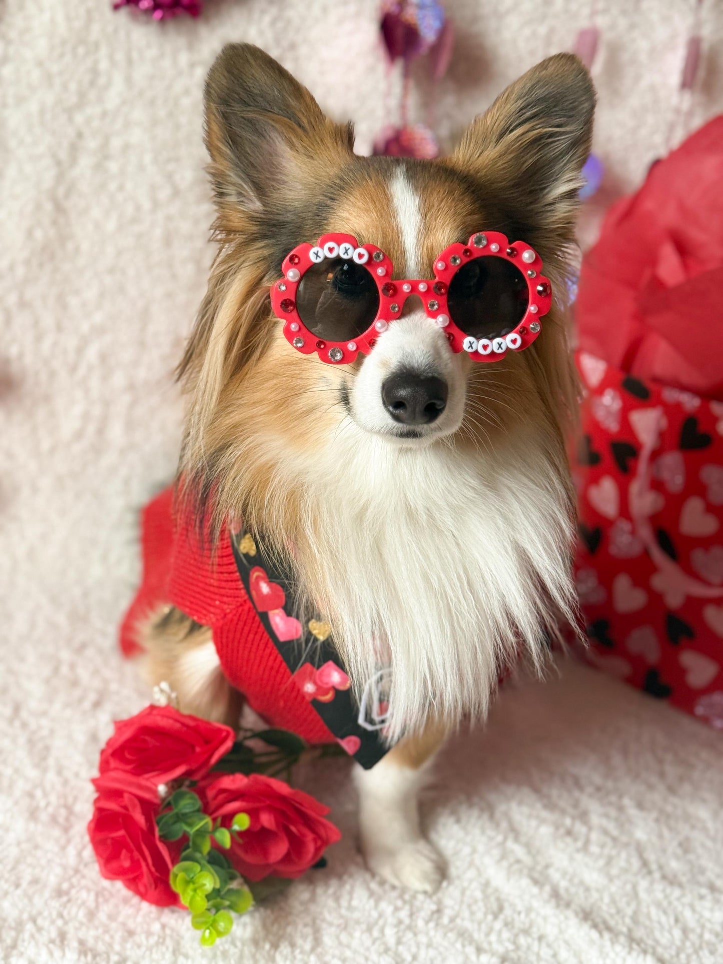 XOXO Valentine’s Day Pet Sunglasses