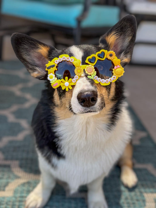 You’re So Golden Sunglasses