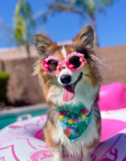 Flock Yeah Sunnies