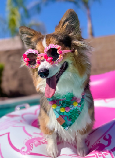 Flock Yeah Sunnies